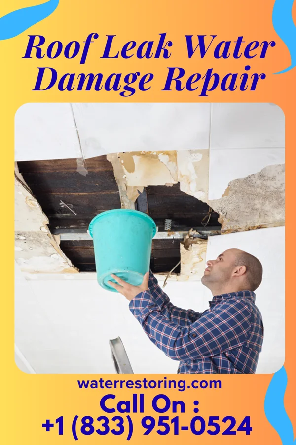 Roof Leak Water Damage Repair in Middlesborough, KY